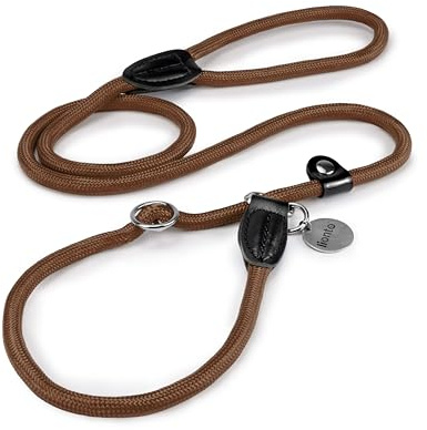 lionto Laisse Retriever Robuste et résistante aux intempéries pour Chiens de Toutes Tailles, Laisse et Collier en Un, 120 cm, Douce pour Le Pelage avec Stop intégré, Vegan, Marron
