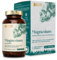 Natürliches Magnesium - 180 Kapseln hochdosiert / 400 mg elementares Magnesium pro Kapsel/Hochwertig gewonnen aus natürlichem Meersalz/Vegan, Zertifiziert & Nachhaltig im Glas