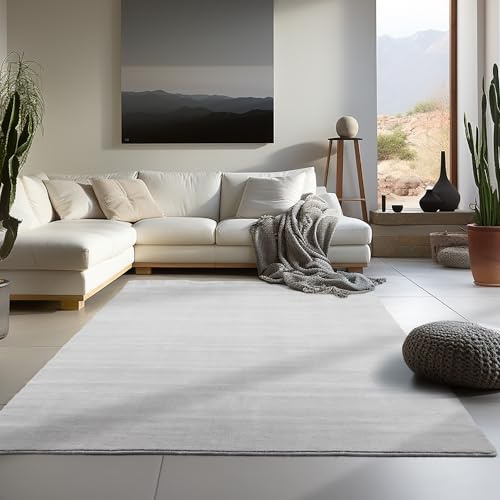 Carpetsale24 Waschbarer Teppich Kurzflor 120x170 cm Silber Modern Einfarbig Weich rutschfest Pflegeleicht Maschinenwaschbar für Wohnzimmer Schlafzimmer Esszimmer Küche