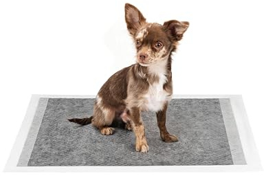 lionto Kohlefaser Welpenunterlagen, 6-lagige Trainingspads für Hunde mit Klebestreifen, 60x60 cm, 100 STK., auslaufsicher & robust, hohe Saugfähigkeit für kranke & inkontinente Tiere, schwarz/weiß