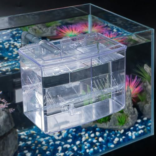 Pawfly Aquarium Fischbrutkasten Fischbecken Brutkasten Acryl Fischbrutkasten Brutkasten für Babyfische Garnelen Betta Clownfisch Kleiner Eingewöhnungskasten Isolationskasten für aggressive Fische Gupp