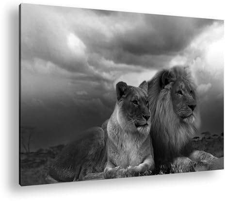 deyoli Löwen in Afrika Format:90x60 cm Effekt: Schwarz&Weiß als Leinwandbild, Motiv fertig gerahmt auf Echtholzrahmen, Hochwertiger Digitaldruck mit Rahmen