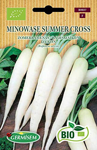 Germisem Bio Graines Radis daikon MINOWASE SUMMER CROSS
