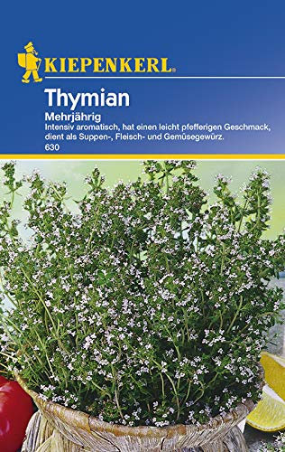 Kiepenkerl 630 Thymian Mehrjährig (Thymiansamen)