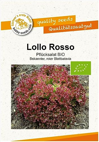 BIO-Salatsamen Lollo Rosso Pflücksalat Portion