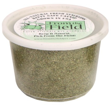 from The Field | Fine Ground Stalkless Catnip | Premium USA-Grown Catnip for Toys & Playtime | Fresh, Potent, Non-Toxic, Eco-Friendly | Safe for Kittens & Cats | Resealable 3.5 oz Tub