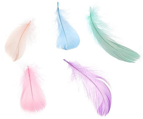 STOBOK 200pièces Décoration De Rêve Plumes Colorées Accessoires Pour Attrape-rêves Fêtes Et Mariages Style Macaron Pour Artisanat Et Décoration Intérieur