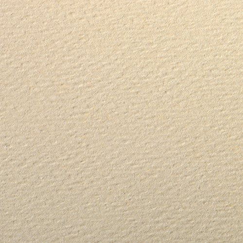 Clairefontaine 90882C Packung (mit 5 Bögen Zeichenpapier Etival Color, DIN A4, 21 x 29,7 cm, 160g, gekörnt, ideal für Trockentechnik und Einrahmen) elfenbein