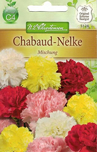 Chrestensen Chabaud-Nelke 'Mischung'