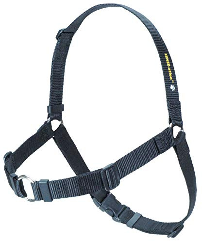 Pettorina per cani temperamentali – Il collare sensseation Harness per cani che tirano forte al guinzaglio – Garanzia anti-tiraggio (nero, L 2,5 cm)