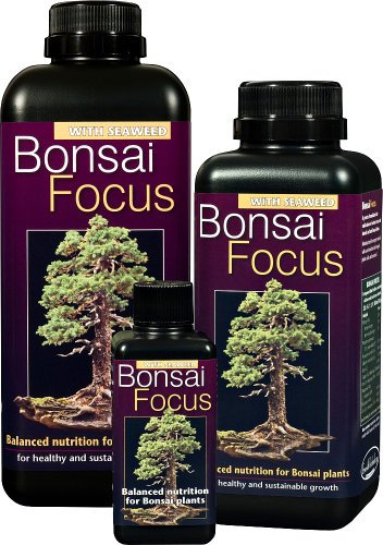 Bonsai Focus 100ml - Liquid Bonsai Feed
