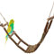 Vogelgaleria® Handgefertigte Vogelleiter für Wellensittich &. Co aus frischem Naturholz | Die Leiter BZW. Hängebrücke ist 80 cm lang und perfekt für den Vogelkäfig geeignet