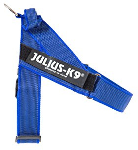 JULIUS-K9, färg och grå IDC-bälte, 0, Blå-grå