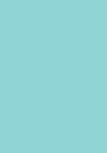 50 Blatt farbiges Druckerpapier 120g/m² / buntes Kopierpapier / Farbe: eisblau
