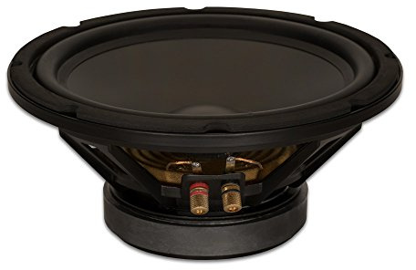 Goldwood Sound GW-10PC-4 Altavoz de Repuesto Resistente de 4 Ohm de 10 Pulgadas, 400 vatios