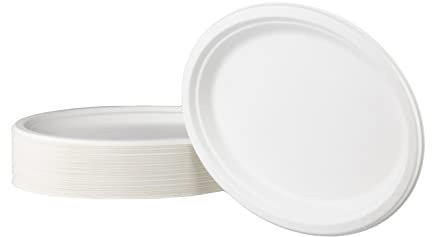 Love Nature Einwegteller 50 Stück - Einweg Teller Oval 26 cm aus Zuckerrohr | Pappteller Einweggeschirr Partyteller Einweg Stabil zum Geburtstag, Grillabende und Picknicks