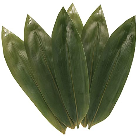 Nawwgy Plant Leaves, Natural Zongye for Roller Plates and Decorations