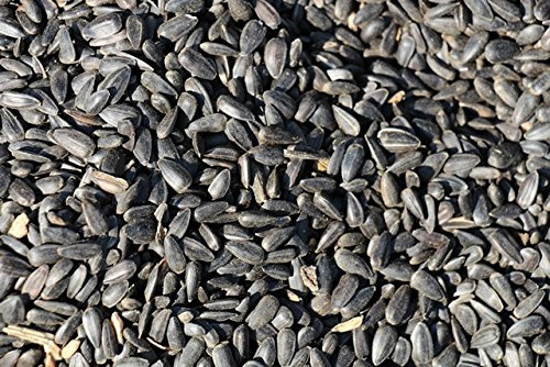Amazon 5kg Schwarze Sonnenblumenkerne Futter für Vögel, Geflügel und Nager, nussig, 5kg