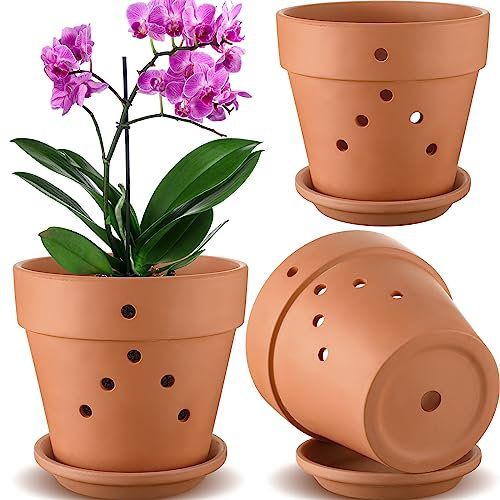 Remerry Lot de 3 grands pots à orchidée en terre cuite avec trous de drainage et soucoupes pour intérieur et extérieur (marron) 20,3 cm