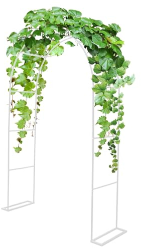 Arche de jardin d'extérieur en métal pour mariage, treillage de plantes grimpantes, pgola pour jardin, hauteur réglable 200-220 cm, largeur 80-350 cm, tonnelle de jardin blanche.