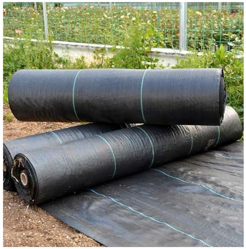 DIWAL Gartenvlies Unkrautfolie Unkrautvlies Unkrautschutz Für Gemüsebeet Blumenbeet Hof Terrasse Auffahrt Langlebig UV Beständig Atmungsaktiv Wasserdurchlässig Gartenabdeckung(1m x 100m)