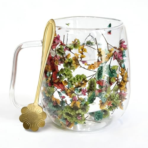 Richaa Taza de vidrio de doble pared con asa de flores secas, taza de capuchino de 320 ml, taza de café de doble pared, taza de café de vidrio con leche, taza de café para regalo para mujeres (con