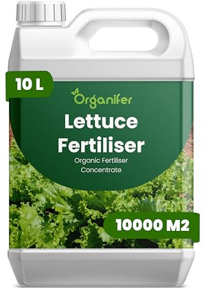 Fertilizzante liquido organico 10L per lattuga – vitalità e fogliame abbondante – Organifer