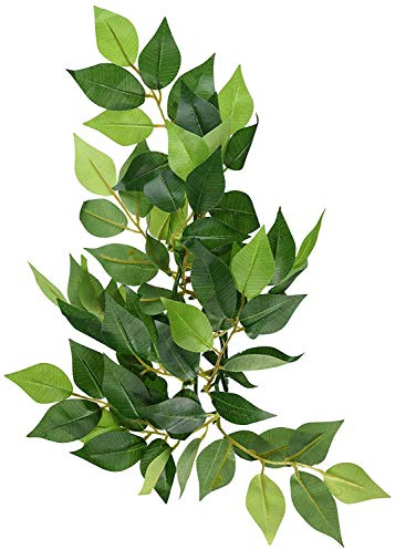 Exo Terra Fikus, hängende Regenwaldpflanze aus Seide, klein, Länge 31cm