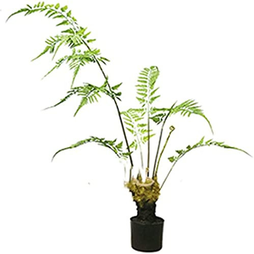 dtkmkj Künstlicher Bonsai-Baum 47 Zoll gefälschter großer Bonsai-Farn, verwendet für die Dekoration des Hochzeitsgarten-Balkon-Bodens