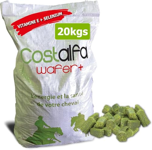 Costalfa + Wafer 20kg, Alimentation Chevaux, 100% Luzerne Naturelle, Nourriture Haut-de-Gamme pour Cheval, améliore la Digestion et renforce Le système immunitaire