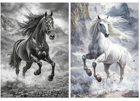 SHEGZHUC 2 Pack Diamond Painting Pferde 30x40cm Diamant Painting Bilder Pferde Schwarz Weiß Diamond Painting Tiere Diamant Malerei Kunst Stickerei Kreuzstich Bilder Geschenk Wanddekoration
