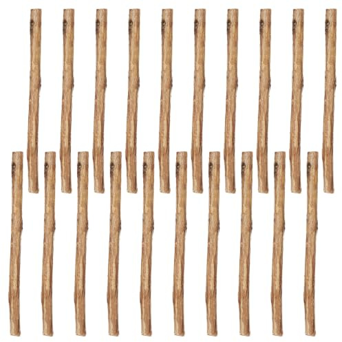 Healeved 120 st hantverkspinnar för gör-det-själv-projekt: Naturliga trästockar 10 cm - Ofärdiga kvistar - Träkvistar för konst, skolprojekt, rustik heminredning
