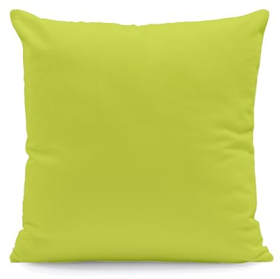Hans-Textil-Shop Kissenbezug 50x50 cm Hellgrün Uni – 100% Baumwolle Linon, Made in Europe – Kissenhülle mit verdecktem Reißverschluss für Dekokissen Couchkissen Sofakissen