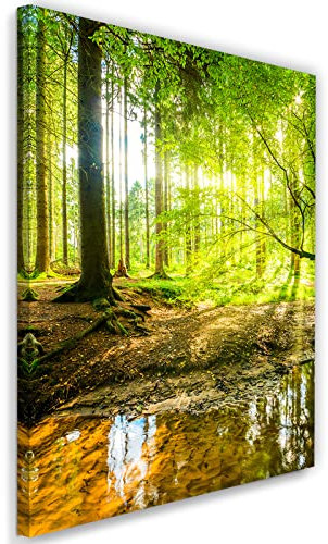 Feeby Vlies Leinwandbild Strom Landschaft Sonnenstrahlen 60x90 cm Druckbild Wandbild Wanddekoration Deko Wand Aesthetic Bäume Wald Natur Pflanzen Grün