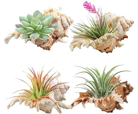 YZHZOM Muschelschalen zum Dekorieren von Luftpflanzenhaltern, einzigartiger Sukkulentententopf, Betta-Aquarium-Dekoration, Fischhaus für Aquarium, Strand, Mottoparty, 4 Stück
