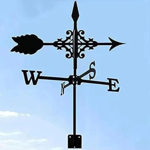 BOWTONG Segnavento in acciaio inox a forma di gallo, banderuola per cortile, collies, fienile, capannone, H0i9, ornamento per tetti e giardini