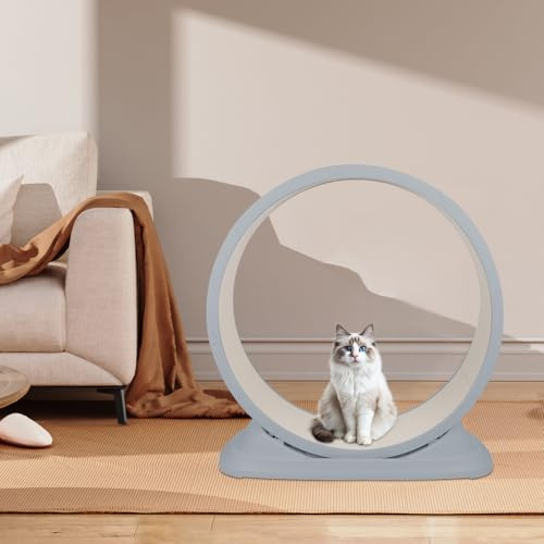 Rueda para gato grande, rueda de ejercicio silenciosa de ABS sólida, soporta hasta 15 kg, para gatos de interior activos, base antideslizante, fácil de montar y limpiar-gris