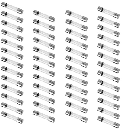 Copapa Glas-Sicherungen, Röhren, 250 V, 1 A, 1000 mA, schnell wirkende Sicherungen, 50 Stück, 5 mm x 20 mm (1 A)