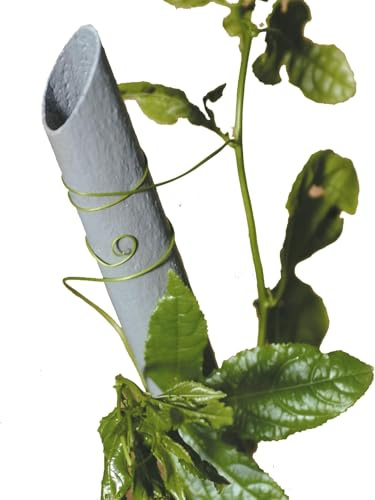 Pali sostegno ortaggi pomodori tutore piante in plastica pvc Tenax (10, 180 CM)