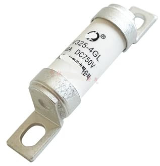 SJLOYNWQ Sicherung EV325-4GL 25A 32A 40A 50A 63A 80A 100A 750Vdc(EV325-4GL 100A)