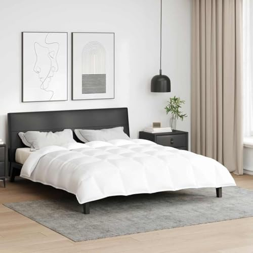 Generico Duvet Invernale Bianco 200 x 200 cm Piuma,Biancheria,Lenzuola e Coperte,Trapunte e piumini-42007654