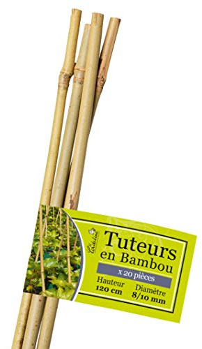 Lot de 20 Tuteurs Bambou, Longueur 120 cm, diamètre 8/10 mm, La Cordeline LTB120-20, Naturel
