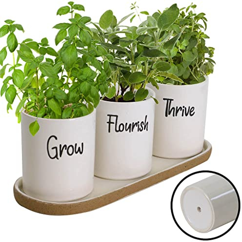 Dibor Herb Planters on Tray Set Ceramic Indoor Windowsill Plant Pots (BP98) | Drainage Hole, Tray, Embossed Planter, Herb Pots, Herb Garden, Windowsill Pots, Kitchen Herbs