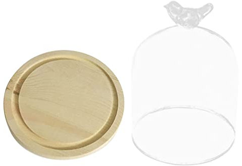 BESPORTBLE Glasabdeckung Für Trockenblumen Mit Sockel Transparente Glaskuppel Aus Hochwertigem Glas Und Holz Für Dekoration Und Schutz Runde Form Für Innen Und Außenbereich
