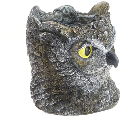BESPORTBLE 1pièce Pot De Fleurs Forme De Hibou Décoration Créative pour Plantes Succulentes Et Cactus pour Intérieur Et Extérieur