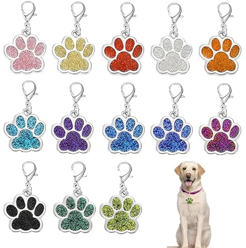 13 Pièces Médaille Chien avec Gravure en Forme de Patte, Médaille pour Animaux de Petite et Moyenne Taille, Médaille Chien Gravée, Médaille Chat,médaille chien gravée