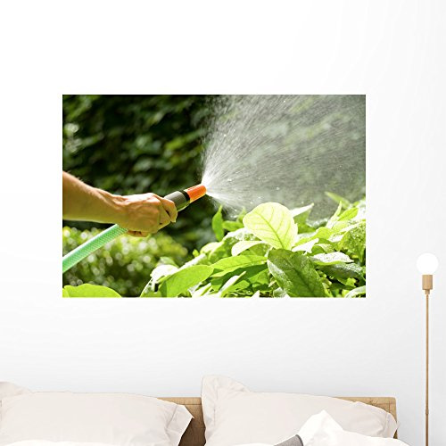 Wallmonkeys FOT-8879396-36 WM335435 Watering The Plants with a Garden Hose Peel and Stick Wall Decals, 36 W x 24 H-Large