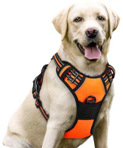 rabbitgoo Hundegeschirr Grosse Hunde Anti Zug mit Griff, L, Orange | No Pull & Individuell Anpassbar, Atmungsaktiv Gepolstert, 2 D-Ringe, Schnellverschlüsse, Reflektierend für Gassi & Training