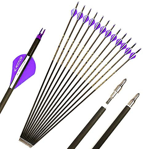 ACCMOS 400 Spine Flèche 28 Pouces Flèche Flèches Carbone Flèche Cible Flèche de Chasse Arc à Poulies Arc Recurve Adulte Jeunesse Tir à l’Arc Entraînement 12pcs Violet