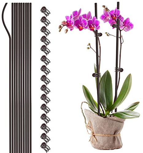Takefuns Pali di supporto per piante, 60 cm, in acciaio rivestito in plastica, marrone, clip per piante e picchetti per orchidee da giardino piccole piante